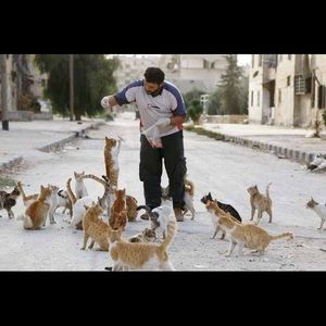 Meet your Posher, Tom