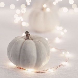 Meet your Posher, Suzanne