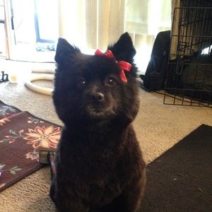 Meet your Posher, Cortney