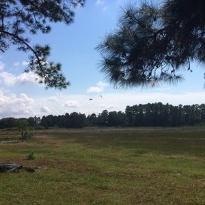 Meet your Posher, Ann