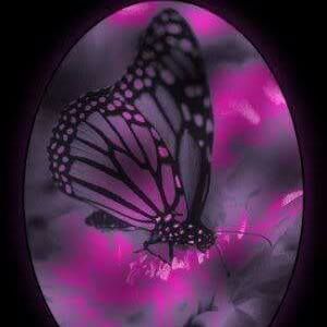 Meet your Posher, Tonya