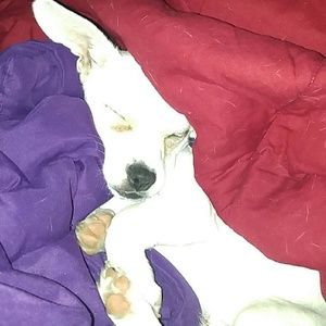 Meet your Posher, Steffany