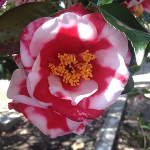 Meet your Posher, Ava