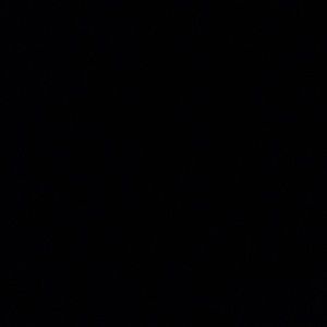 Meet your Posher, Zach