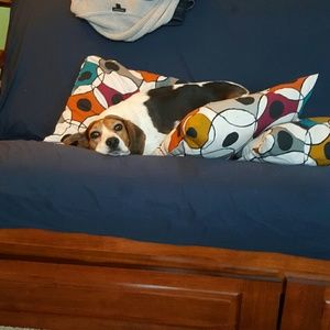 Meet your Posher, Joan