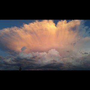 Meet your Posher, Vicki