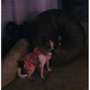 Meet your Posher, Marcie