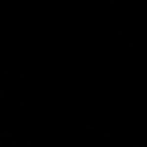 Meet your Posher, Savannah