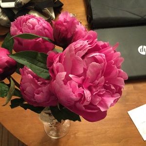 Meet your Posher, Dawn