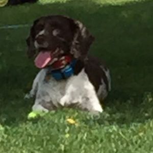 Meet your Posher, Connie