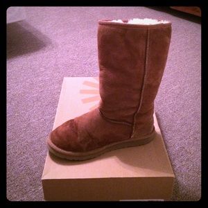 Tall ugg chestnut