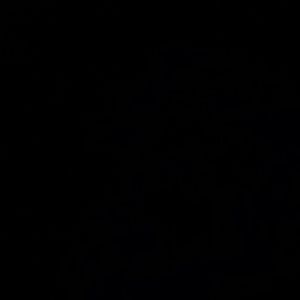 Meet your Posher, Terick