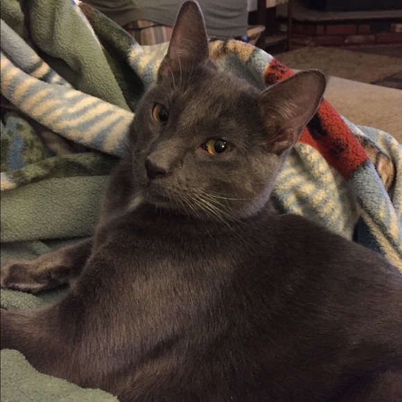 Meet your Posher, Karen - Picture 5 of 6