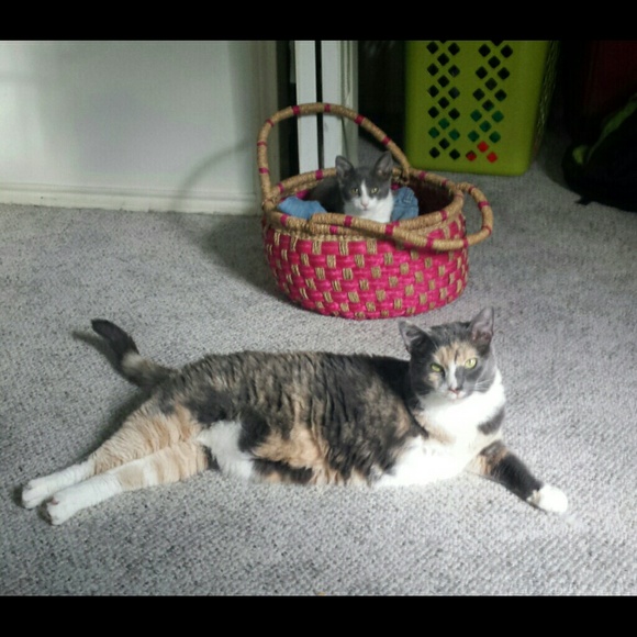 Meet your Posher! - Picture 2 of 2