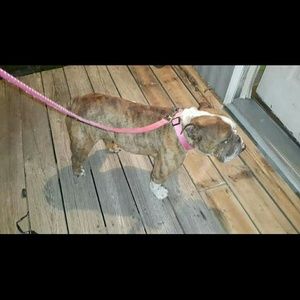 Meet your Posher, Stetson