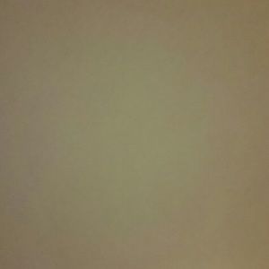 Meet your Posher, Alisa