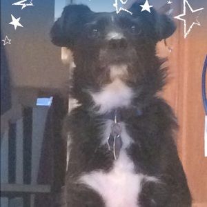 Meet your Posher, Bethany