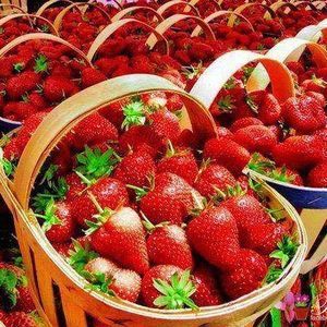 Meet your Posher, Juliet