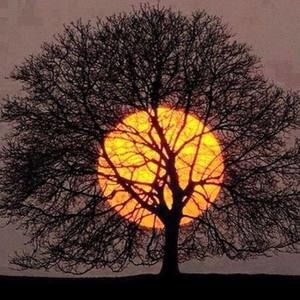 Meet your Posher, Gail