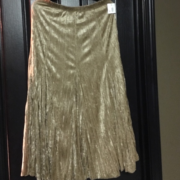 ‼️Price Cut‼️New Maxi skirt