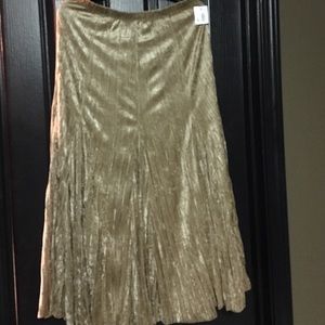 ‼️Price Cut‼️New Maxi skirt