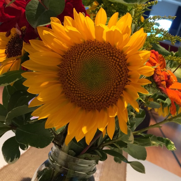 Meet your Posher, Elena - Picture 1 of 1