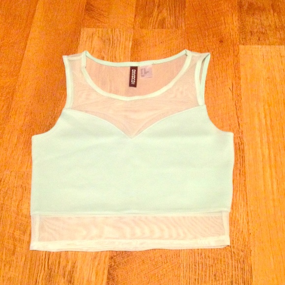 Mesh Panel Crop Top
