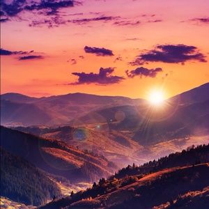 Meet your Posher, Bailey