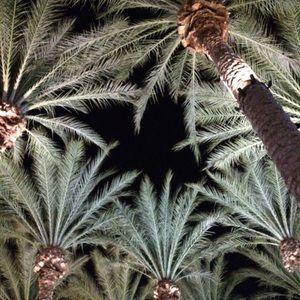 Meet your Posher, Brittney