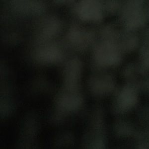 Meet your Posher, Kaitlin