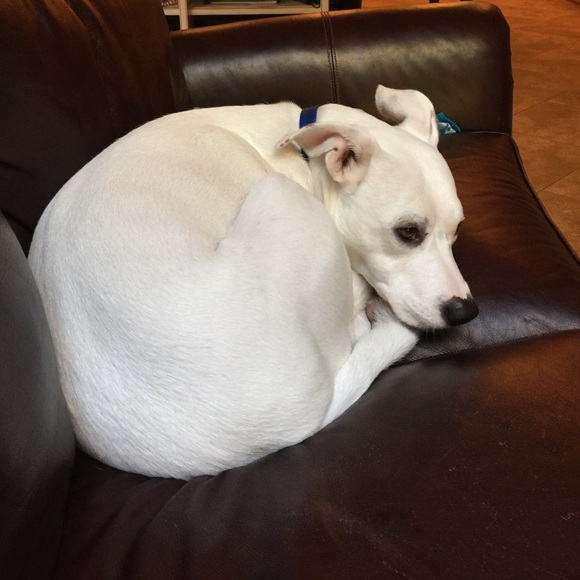 Meet your Posher, Jen