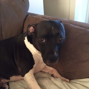 Meet your Posher, Erin