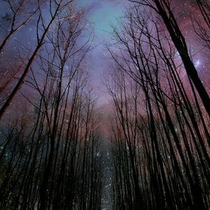 Meet your Posher, Jared