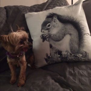 Custom listing for Sarah1616