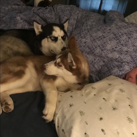 Meet your Posher, Jen - Picture 2 of 7