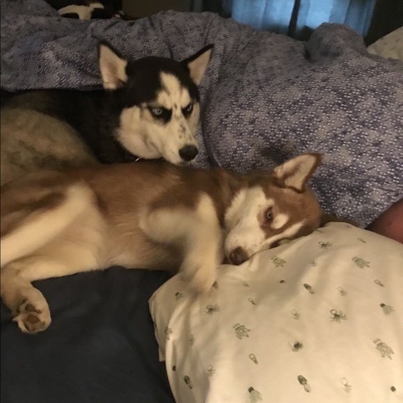 Meet your Posher, Jen - Picture 3 of 7