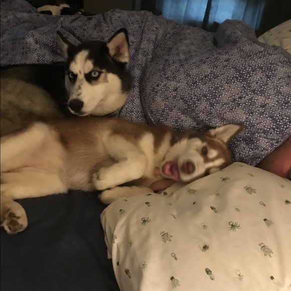 Meet your Posher, Jen - Picture 4 of 7