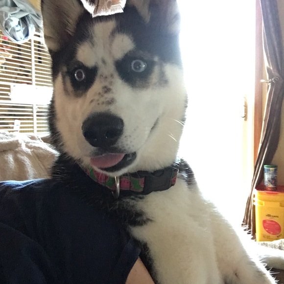 Meet your Posher, Jen - Picture 5 of 7