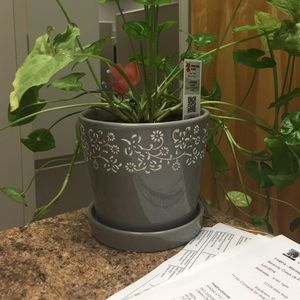 Meet your Posher, Will