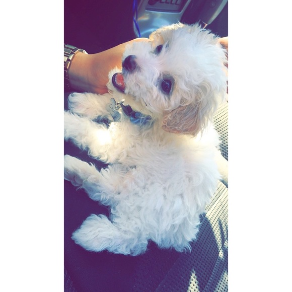 Meet your Posher, Danielle - Picture 1 of 1