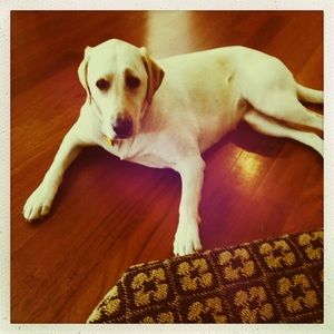 Meet your Posher, Christie