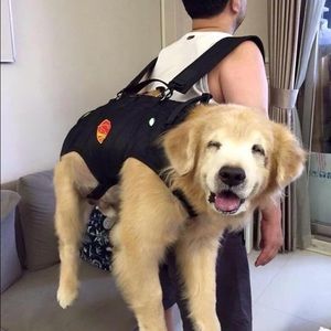 Meet your Posher, Damian