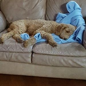 Meet your Posher, Debra