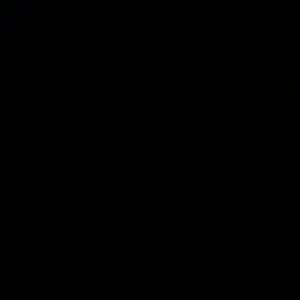 Meet your Posher, Ginger