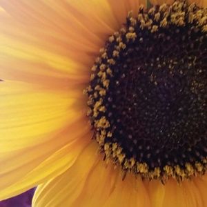 Meet your Posher, Kerry