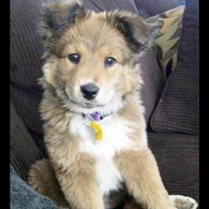 Meet your Posher, Gabby