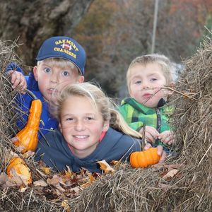 Meet your Posher, Morgan