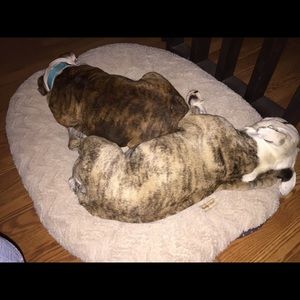 Meet your Posher, Cathy