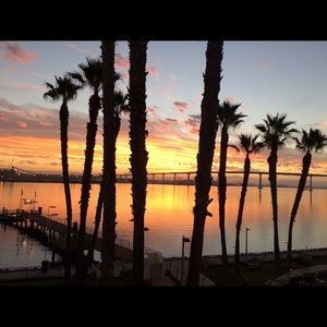 Meet your Posher, Debi