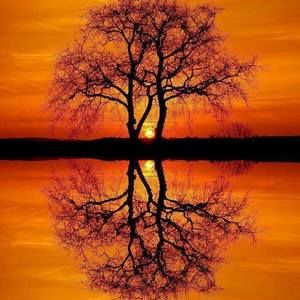 Meet your Posher, Tonia